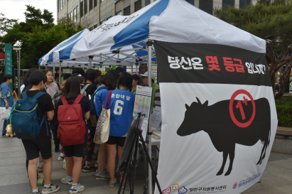 양천서포터즈 2기 5월 정기활동