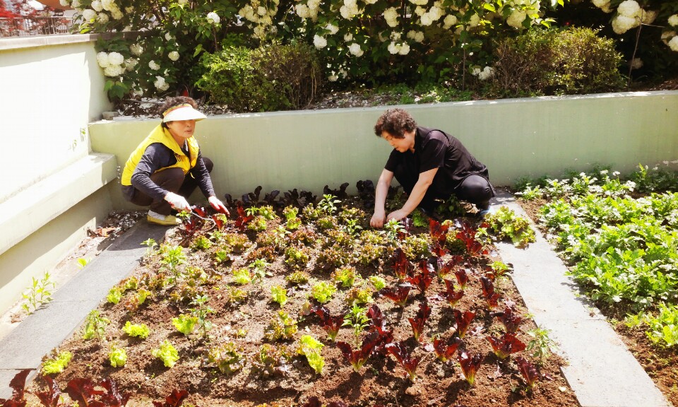 지역주민과 함께하는 싱싱한 텃밭 