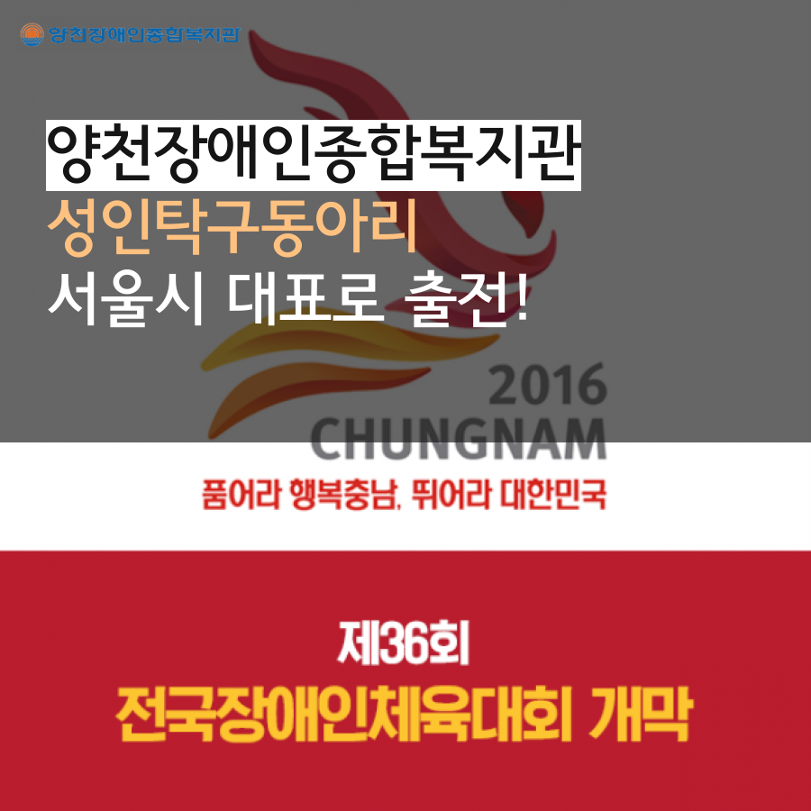 제36회 전국장애인체육대회 양천장복 성인 탁구동아리가 서울시 대표로 출전!