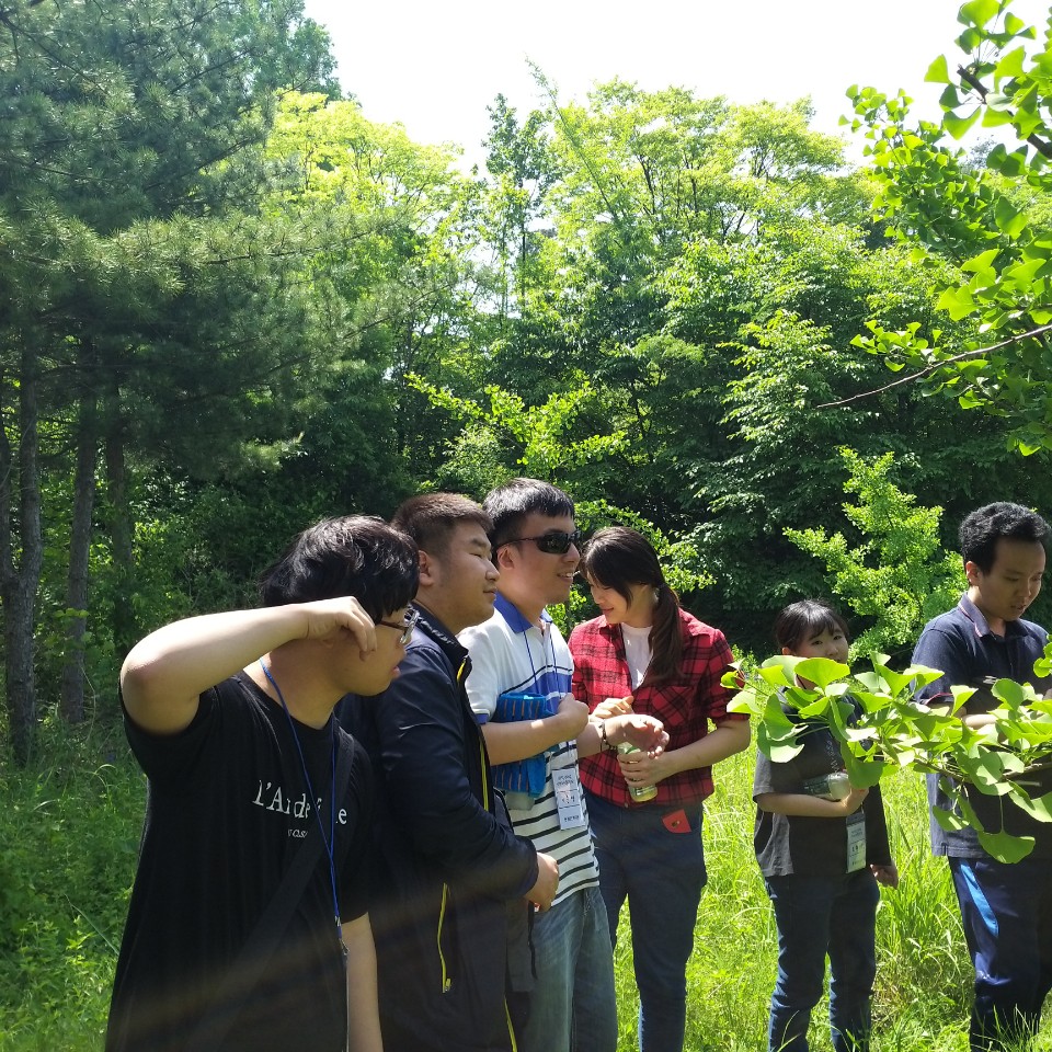 직업적응훈련반, 전문직종훈련반 , 해누리 청년대학 숲체험