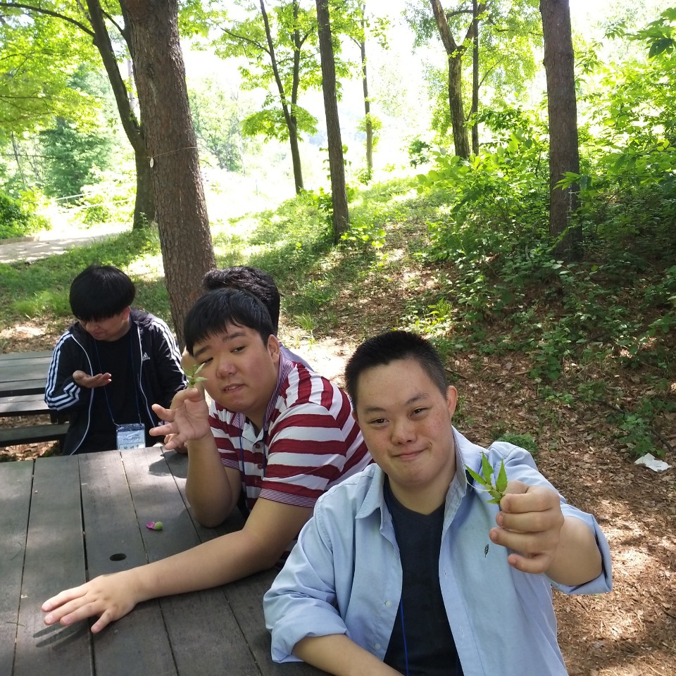 직업적응훈련반, 전문직종훈련반 , 해누리 청년대학 숲체험