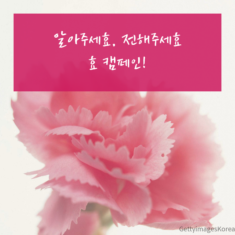 알아주세효 전해주세효 