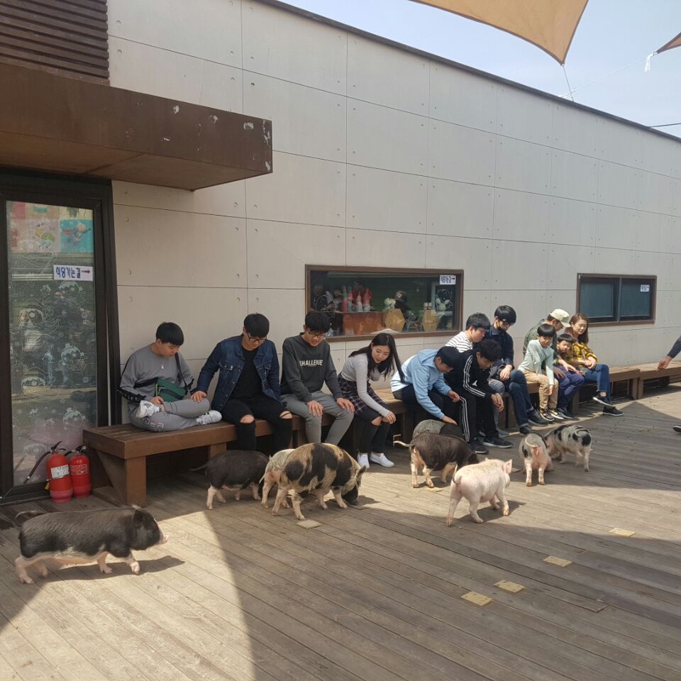 신나는 토요일  !!