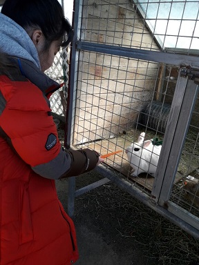 2017년 겨울계절학교