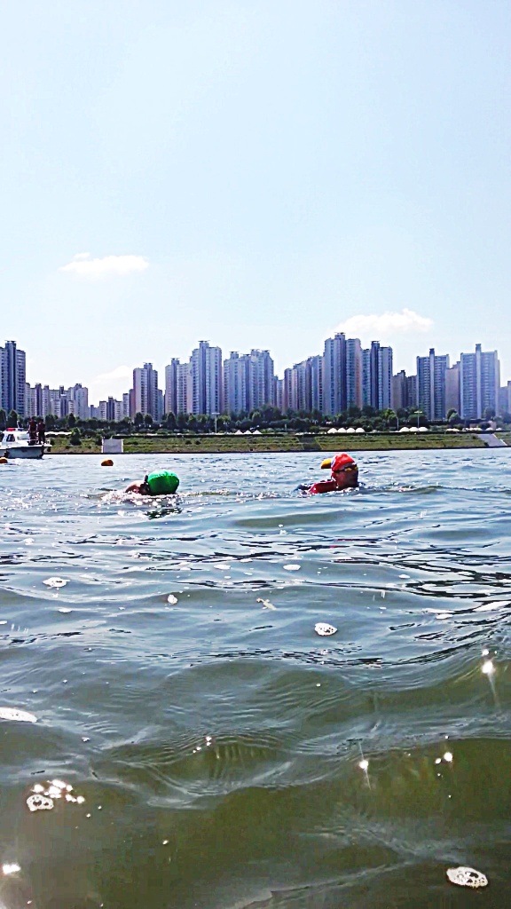 제8회 장애인수영 한강 건너기 대회 참가