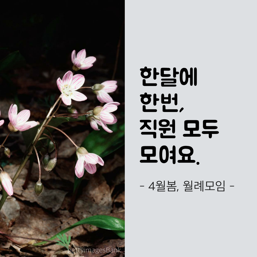 4월 직원월례조회 진행하였습니다.