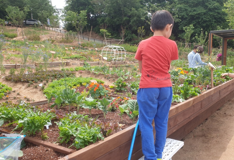함께하는 텃밭가꿈이 패밀리팜 5월 정기 활동