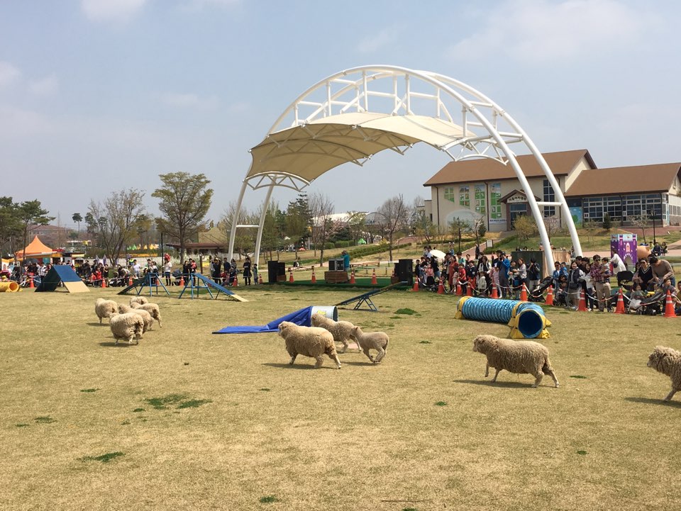 2019년 활동지원사업 아동 청소년 이용자 나들이