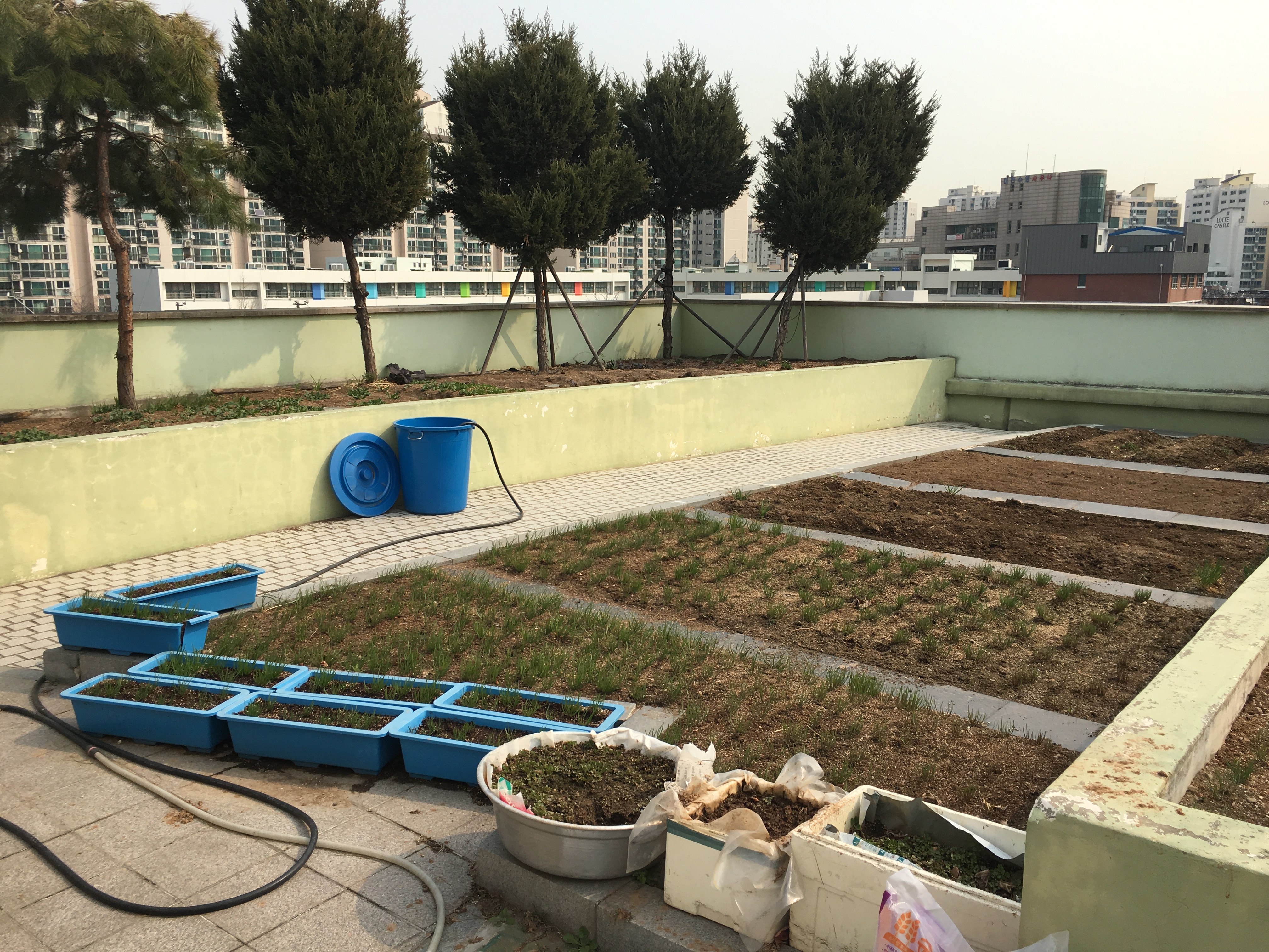 도시농부-옥상텃밭 밭갈이~~~LET