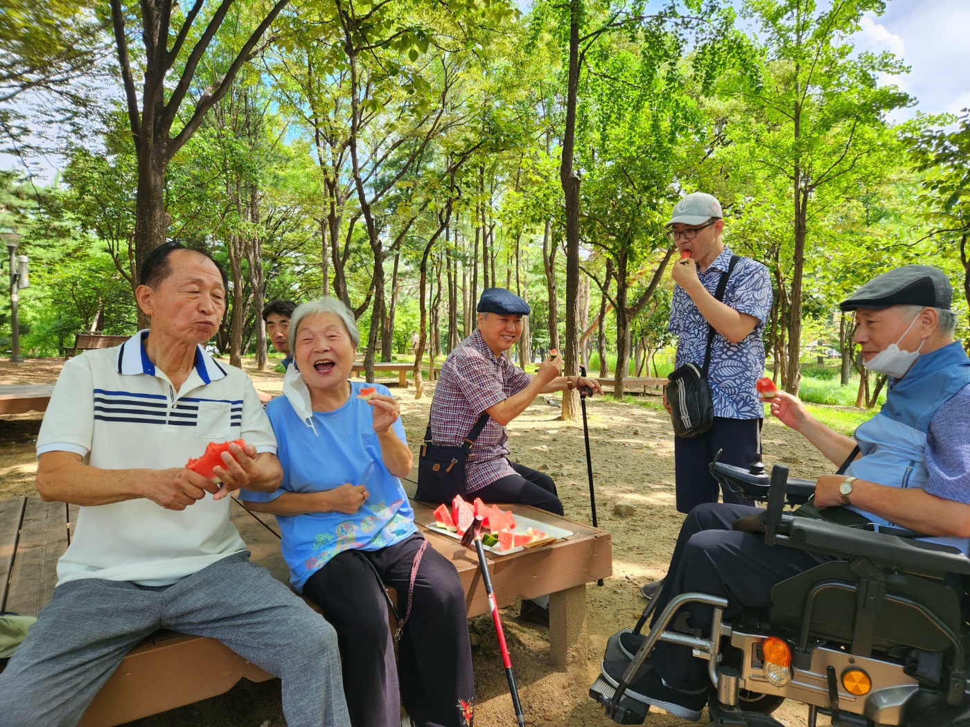 나무그늘 아래 수박파티