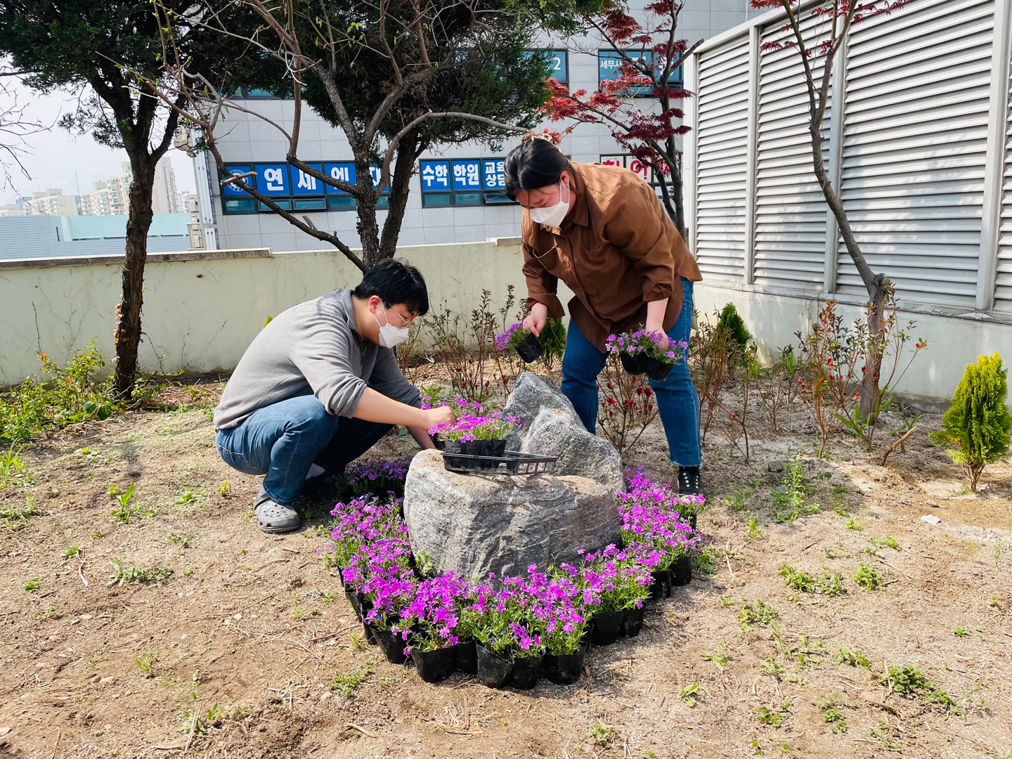 복지관 봄맞이 모종 심기 진행