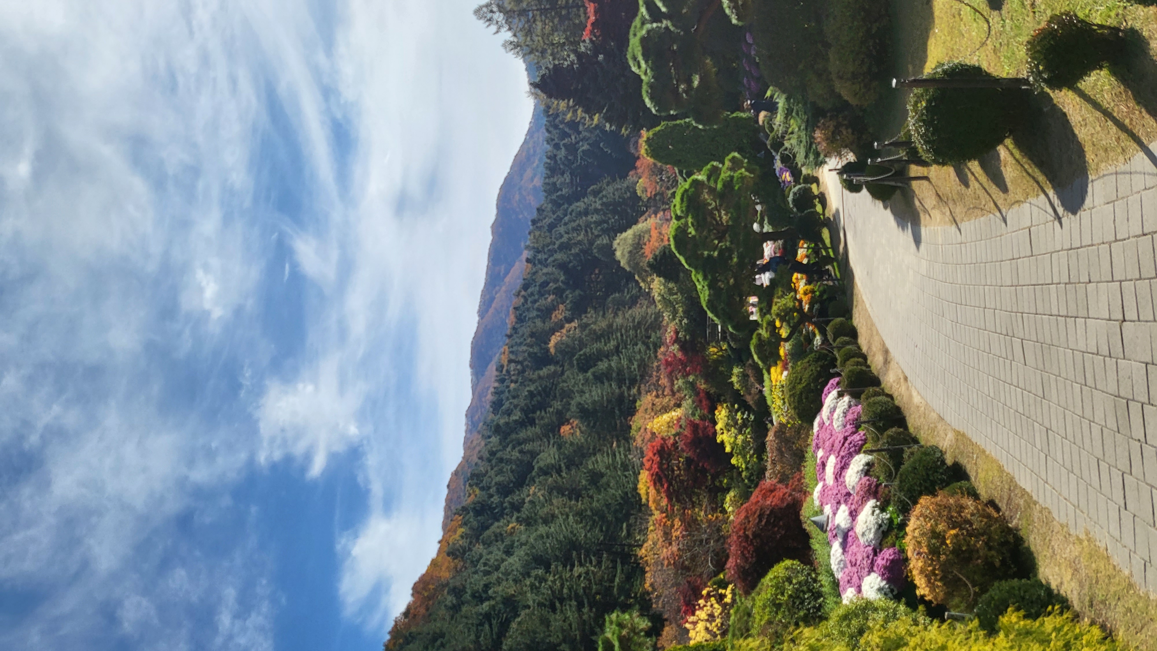 하반기 지역문화탐방 - 아침고요수목원 방문!