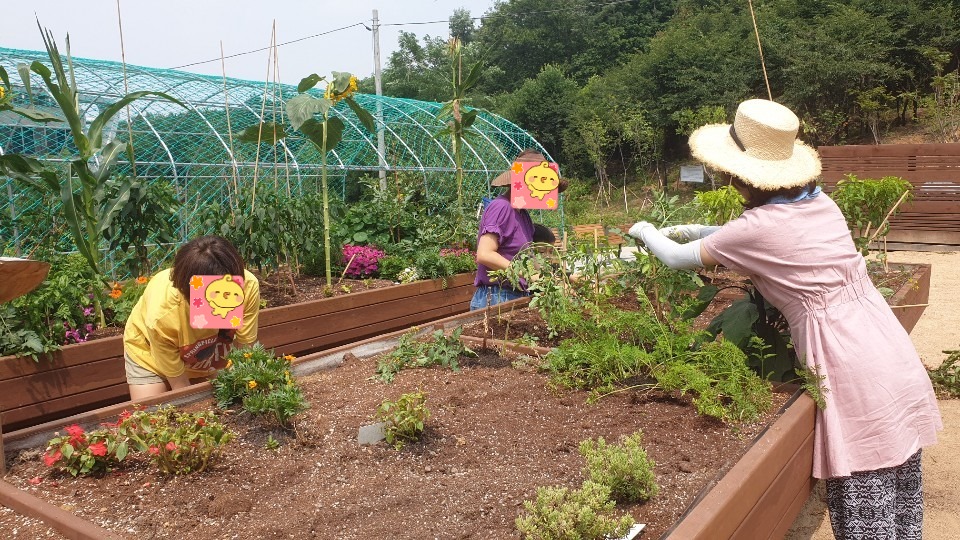 패밀리팜 7월 정기활동