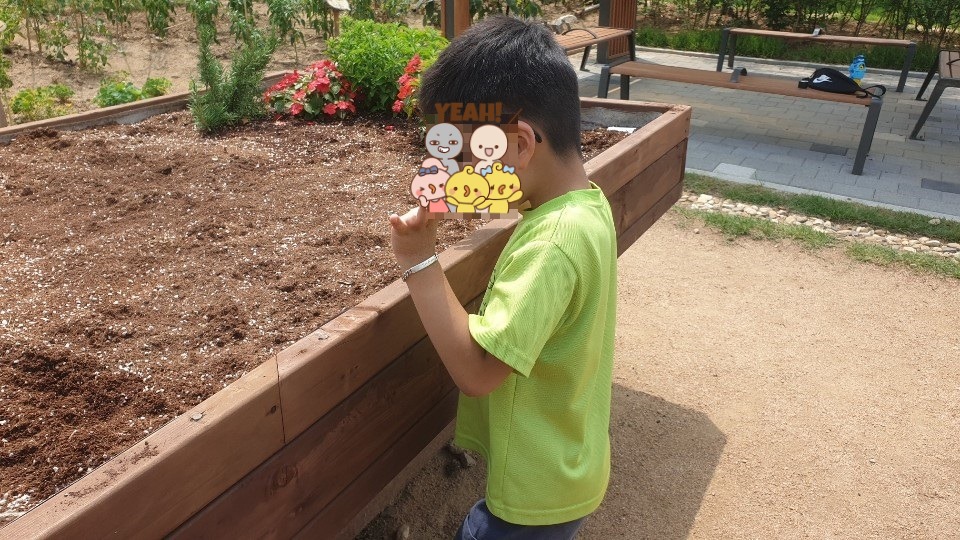 패밀리팜 7월 정기활동