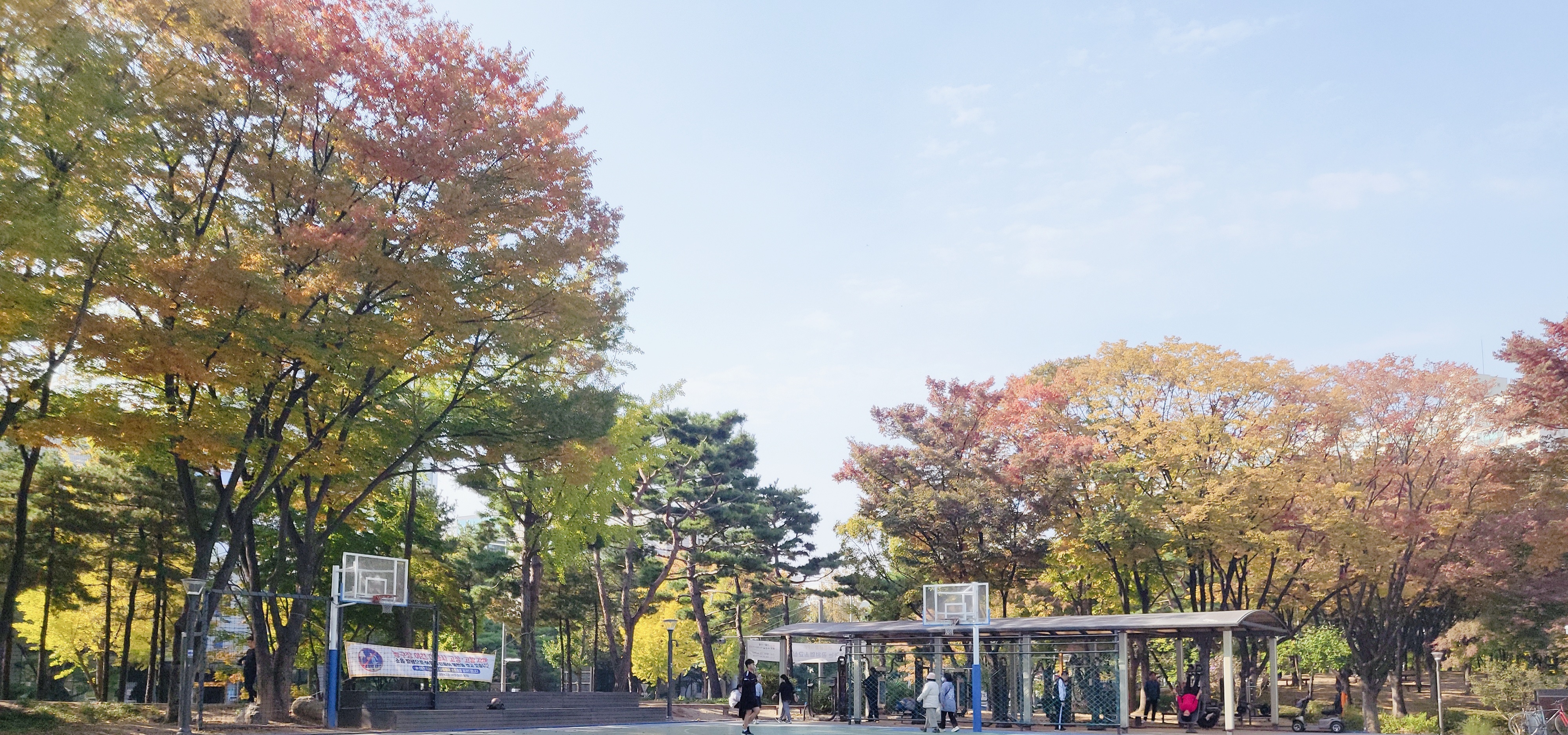 이웃만들기 8회기 활동 - 양천공원 가을 단풍 구경!