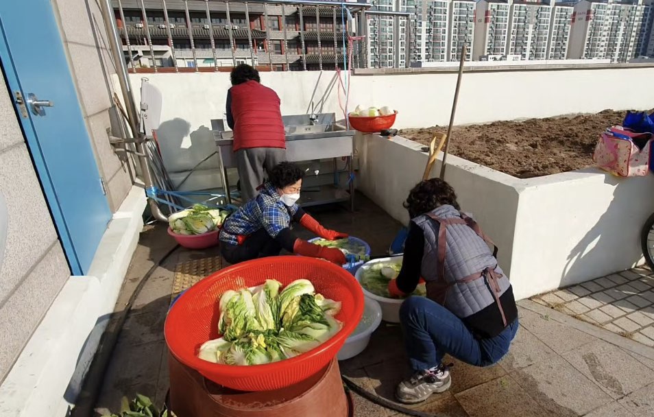 평생교육팀 옥상정원 11월 10일~12일 3일간의 김장이야기