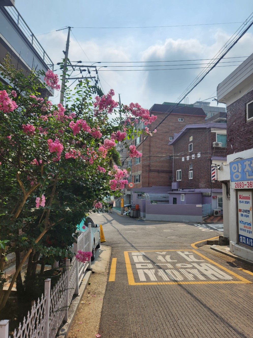 [동행] 미진 씨 이야기 1