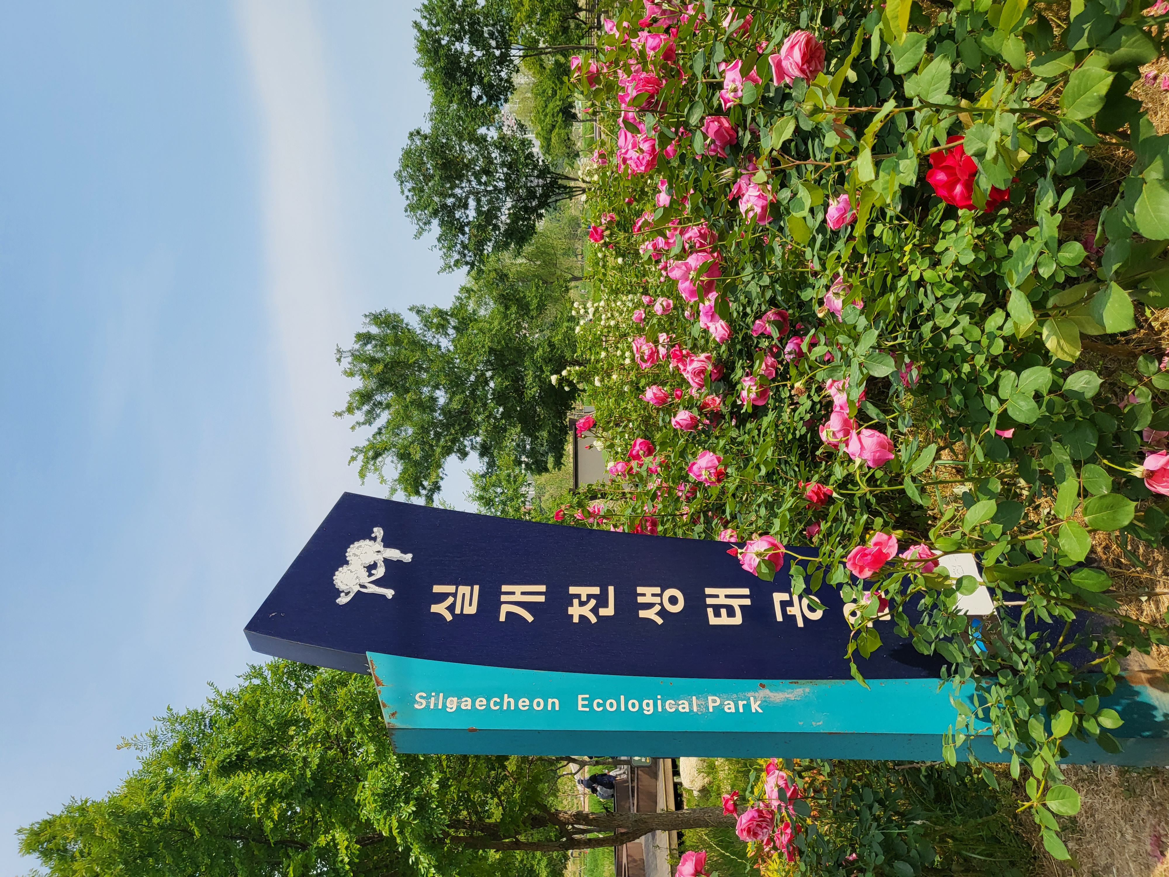 2022 이웃만들기 정기 모임 실시 - 안양천 봄꽃 나들이