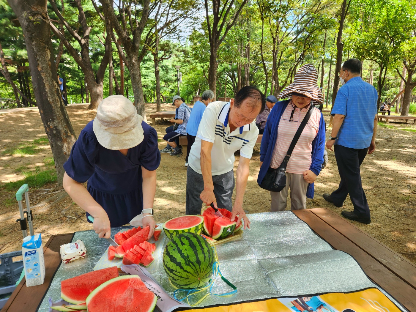 나무그늘 아래 수박파티