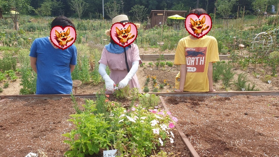 패밀리팜 7월 정기활동
