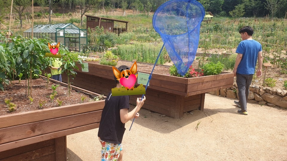 패밀리팜 7월 정기활동