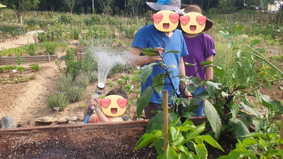 패밀리팜 7월 정기활동