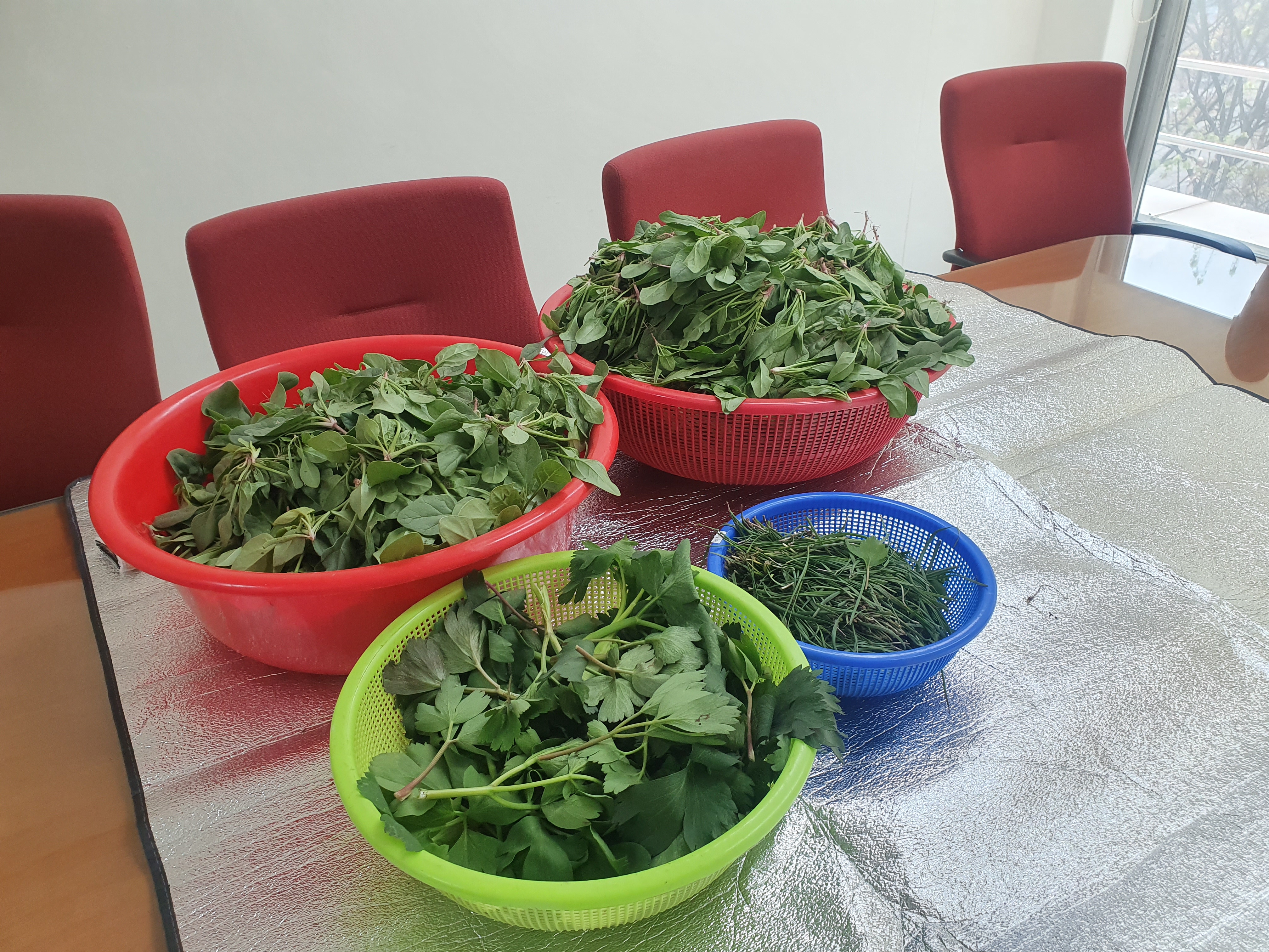 복지관 옥상텃밭 작물 나눔