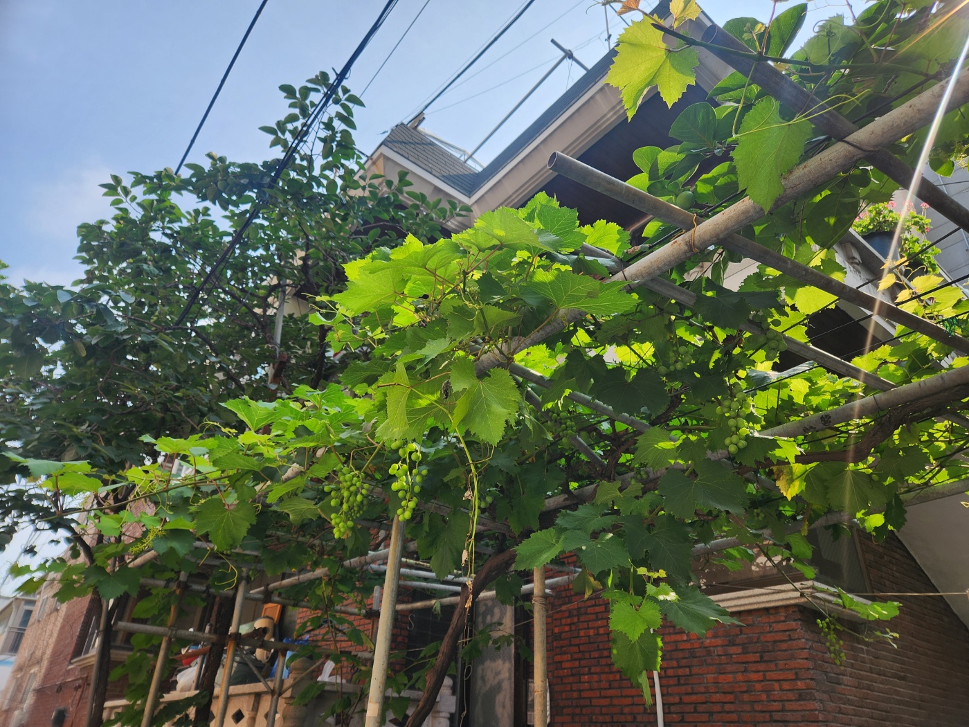 [동행] 미진 씨 이야기 1