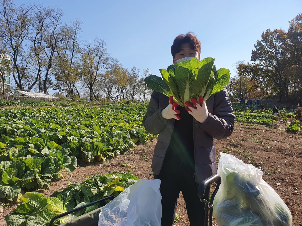 평생교육팀 옥상정원 11월 10일~12일 3일간의 김장이야기