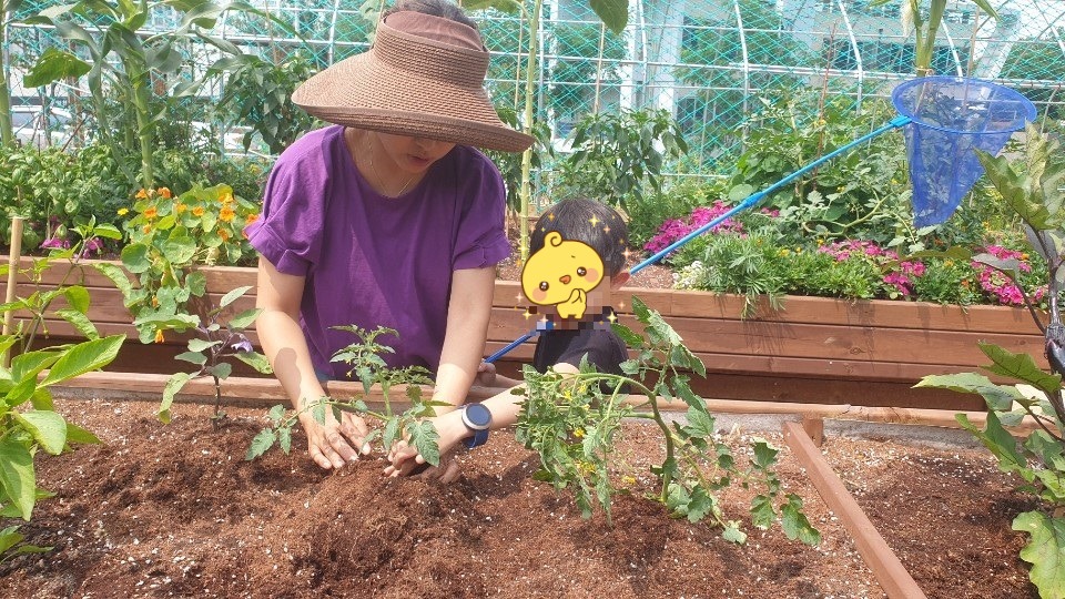 패밀리팜 7월 정기활동