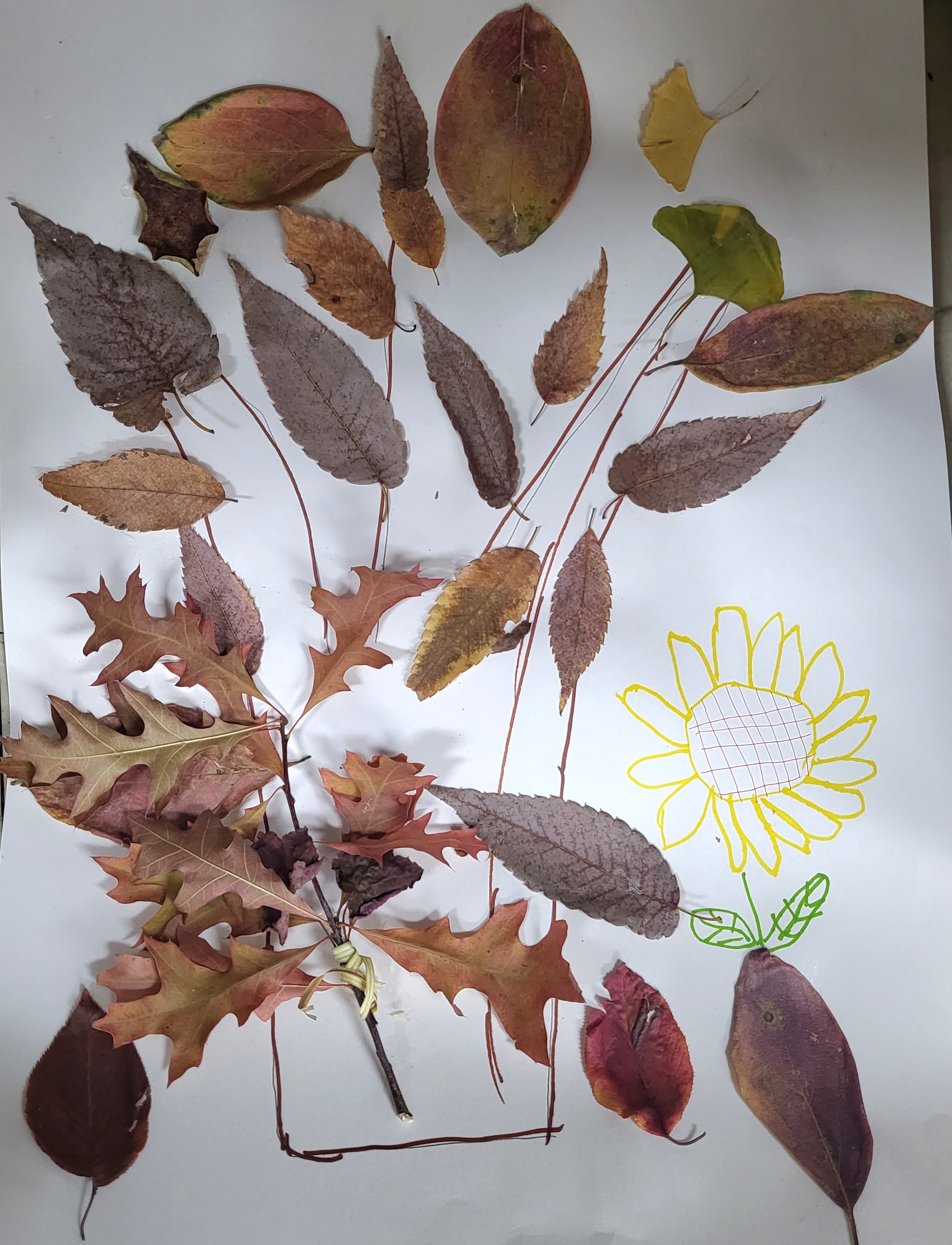 이웃만들기 8회기 활동 - 양천공원 가을 단풍 구경!