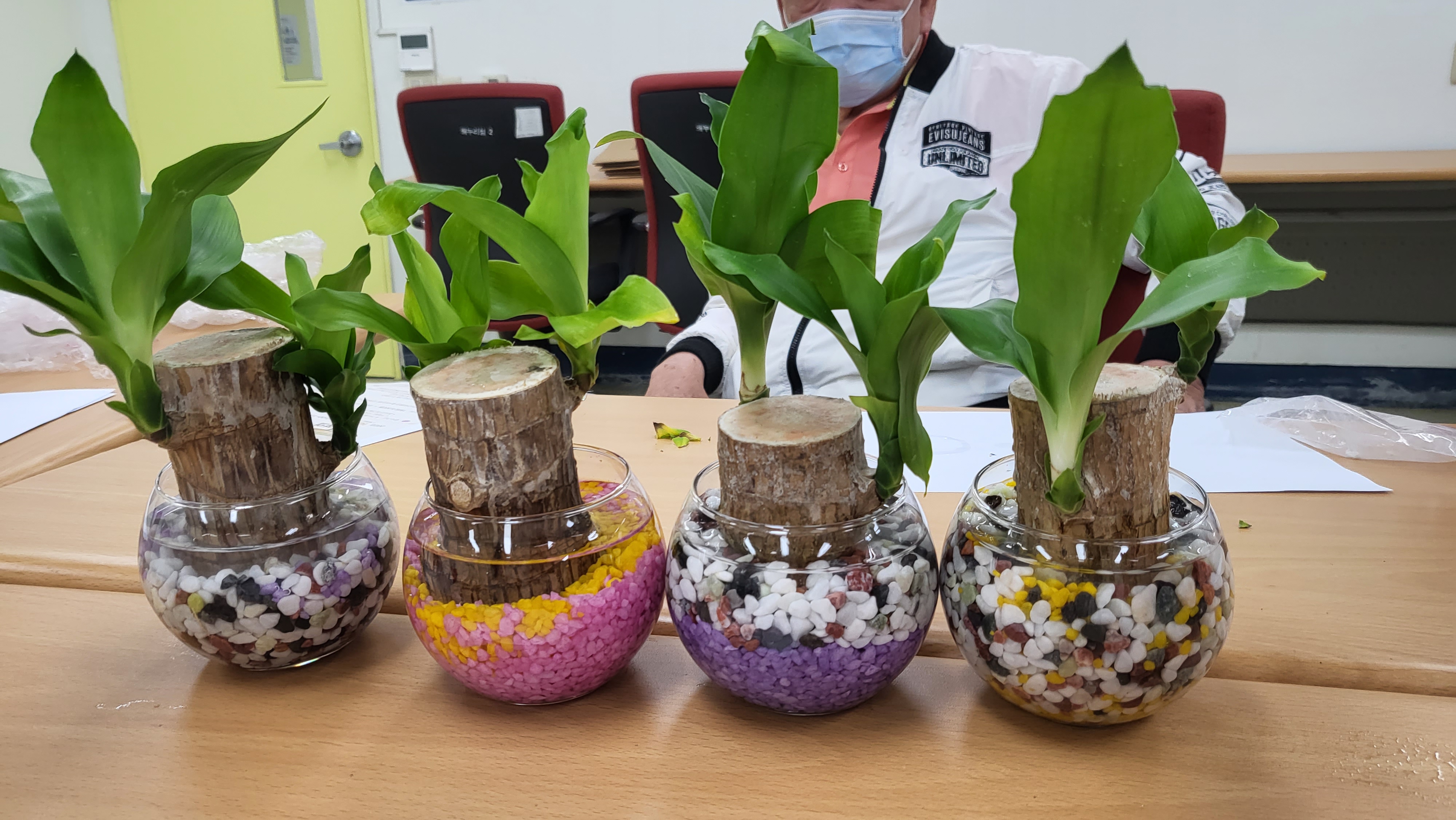 이웃만들기 7회기 활동 - 개운죽,행운목