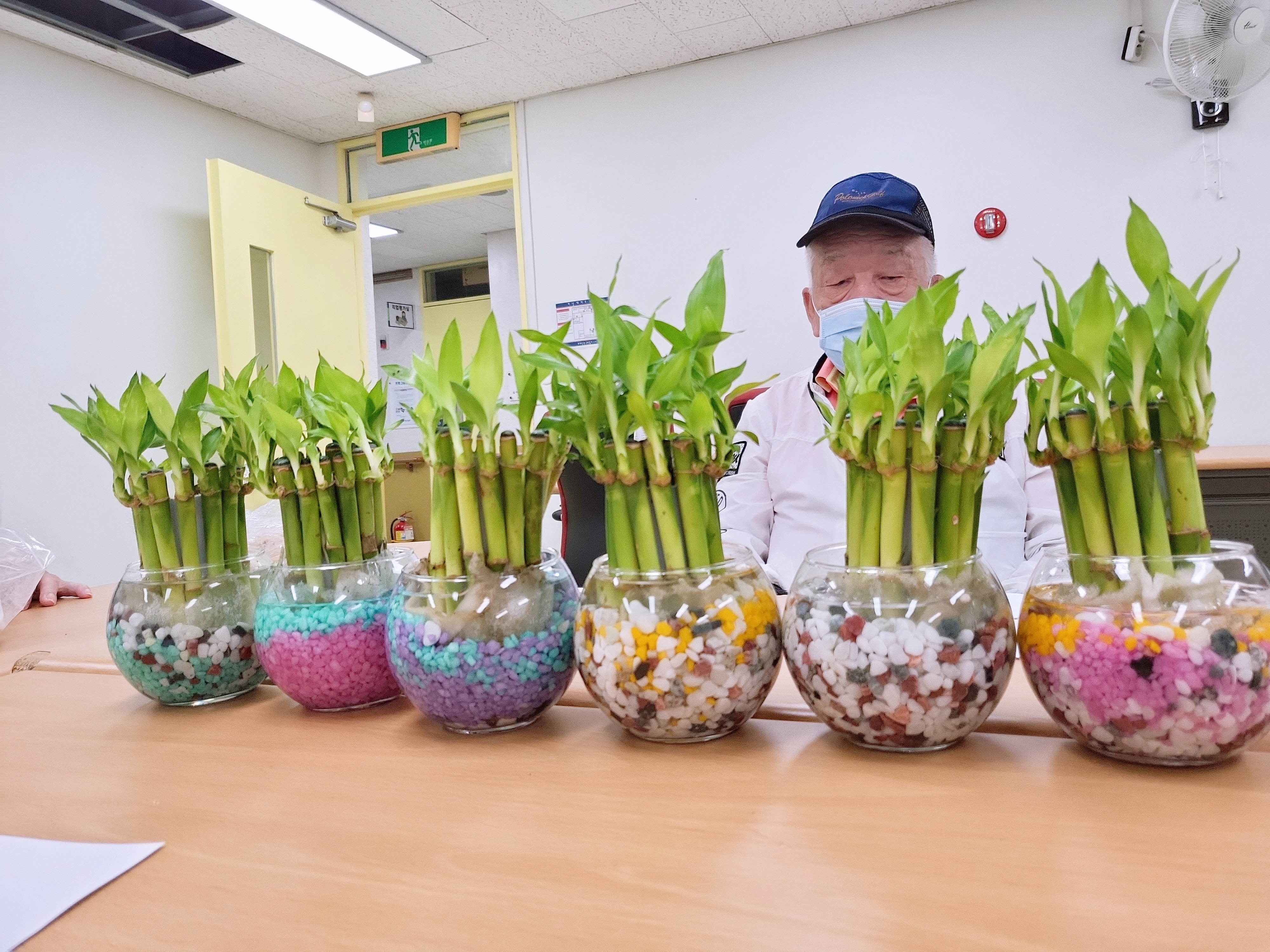 이웃만들기 7회기 활동 - 개운죽,행운목