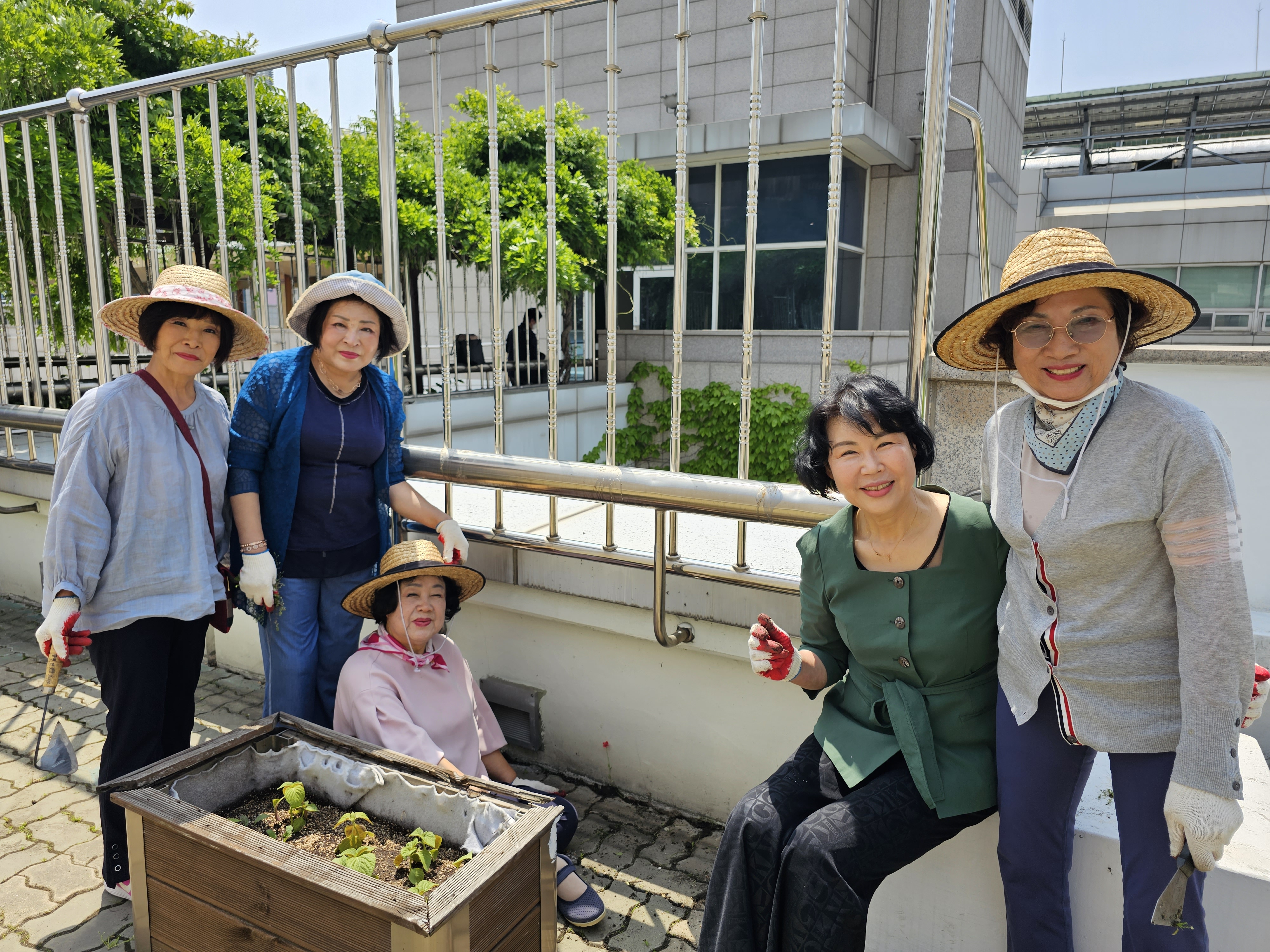 목동 자생봉사단과 함께 하는 "옥상정원 환경미화"