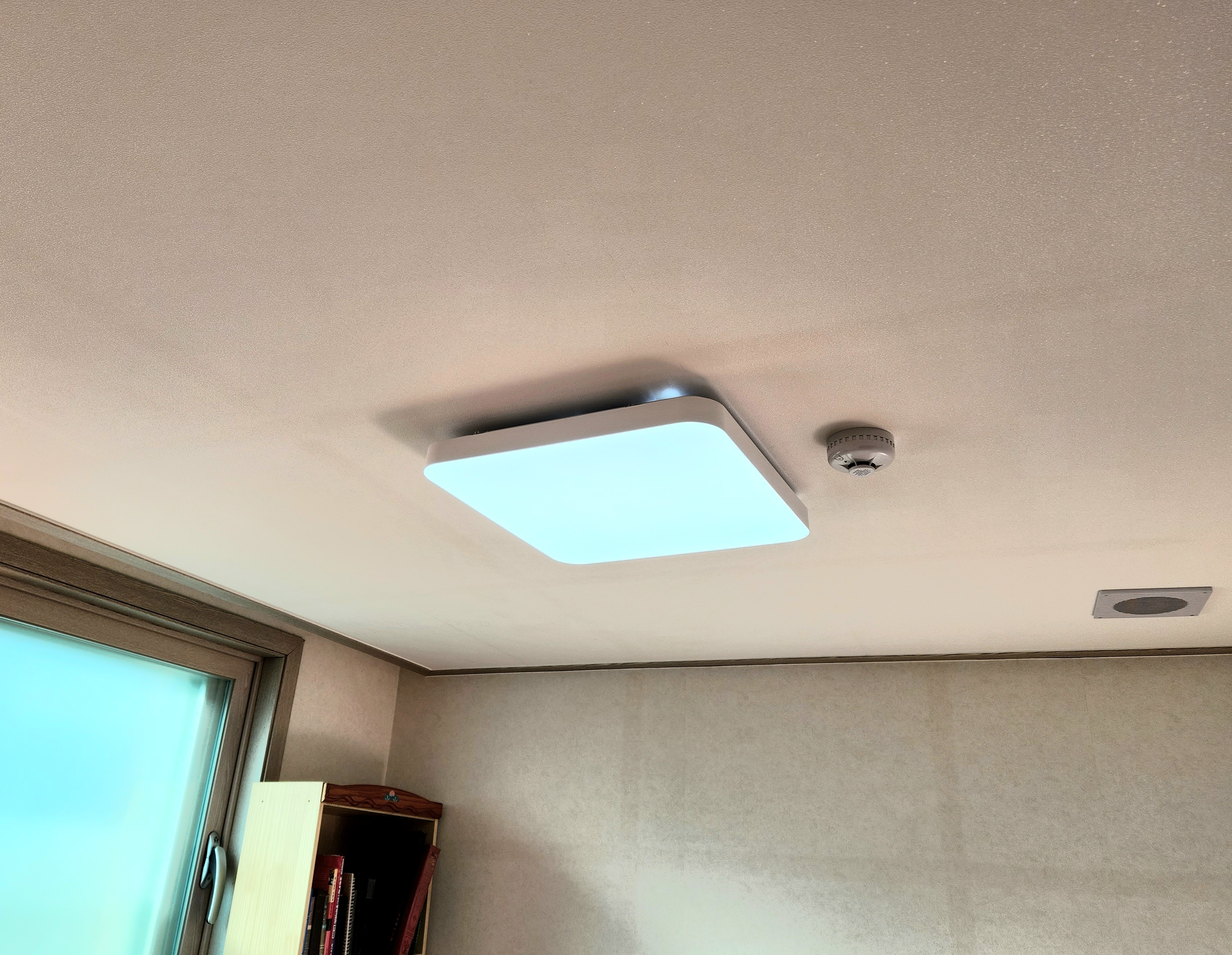 등 하나 바꿨는데