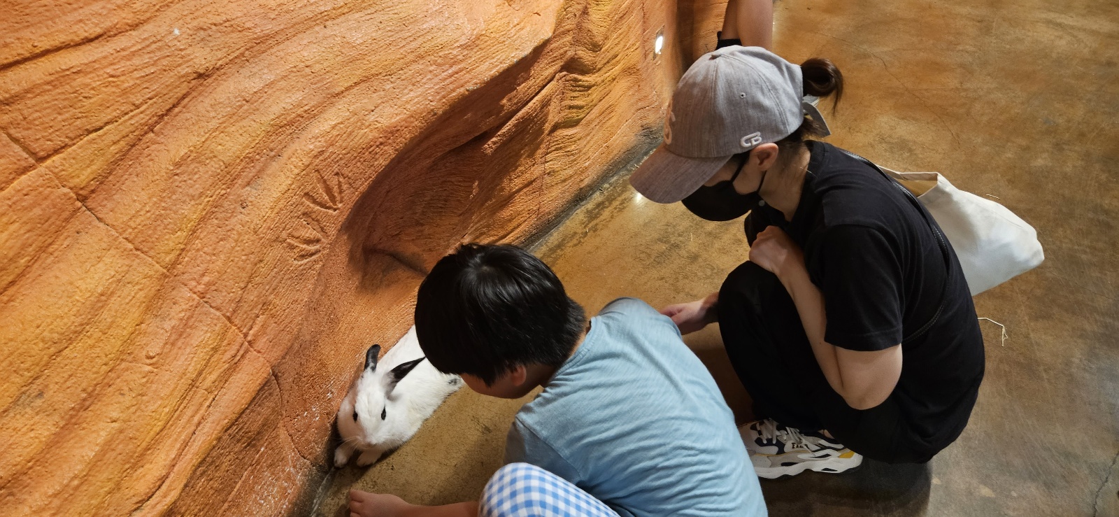 장애인활동지원서비스 아동 이용자 나들이