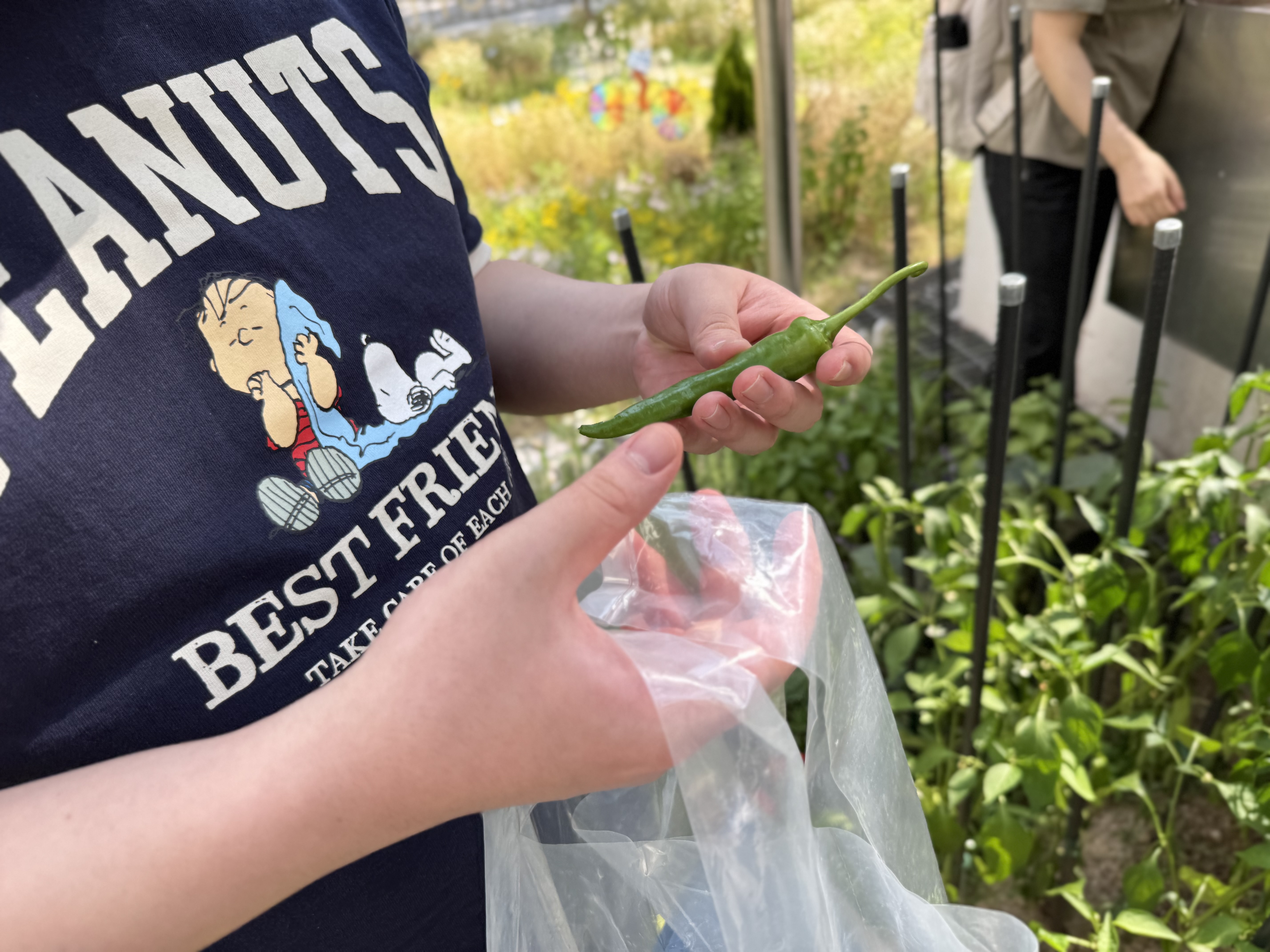 [자립지원팀] 발달장애인 전문가 양성과정 "그린코디네이터"