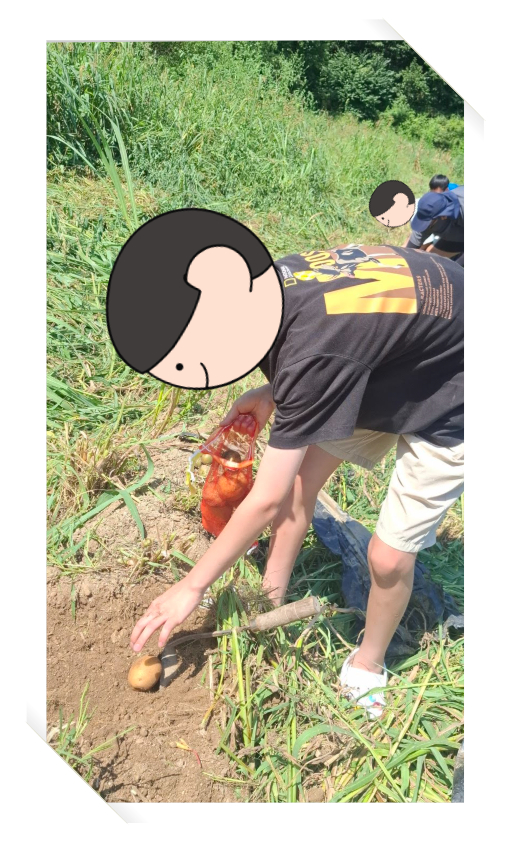 여름방학에는 체험이 좋아요