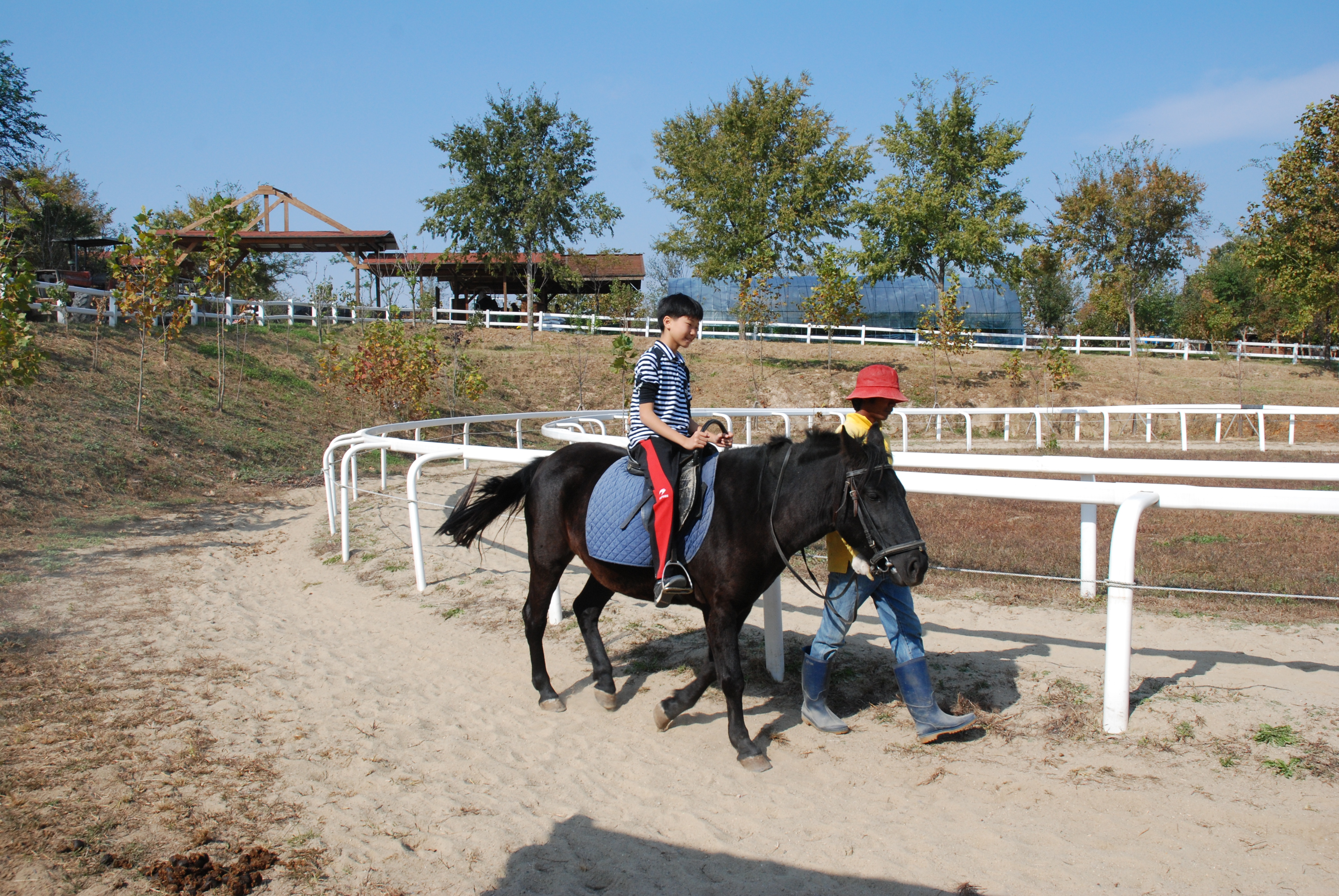 멘토링지원사업