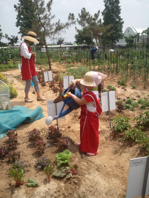 현대백화점과 함께하는 친환경 가족농장 나들이 진행