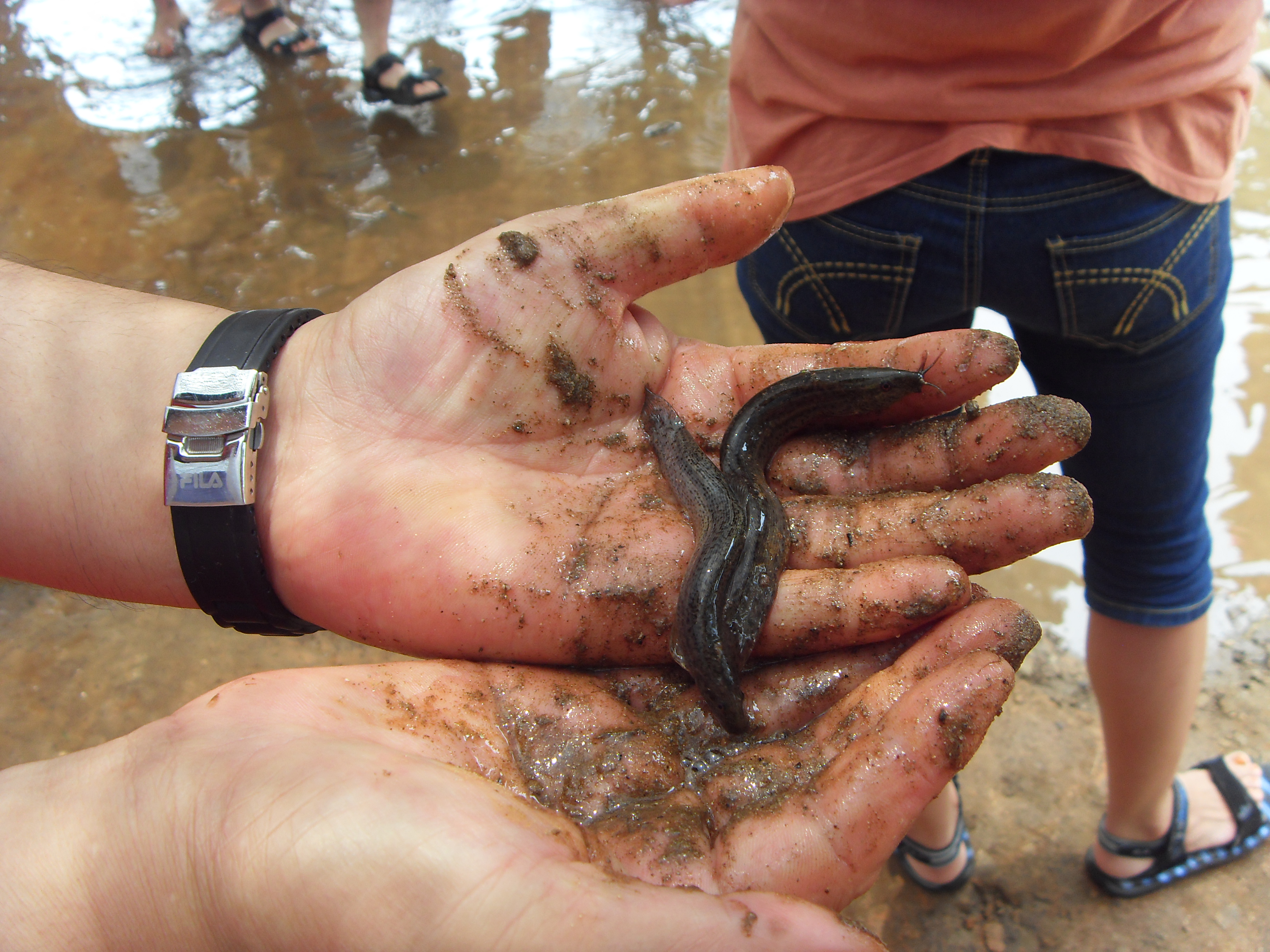 농촌나들이 다녀왔어요^_^