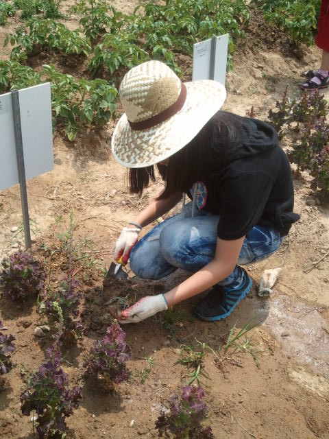 현대백화점과 함께하는 친환경 가족농장 나들이 진행