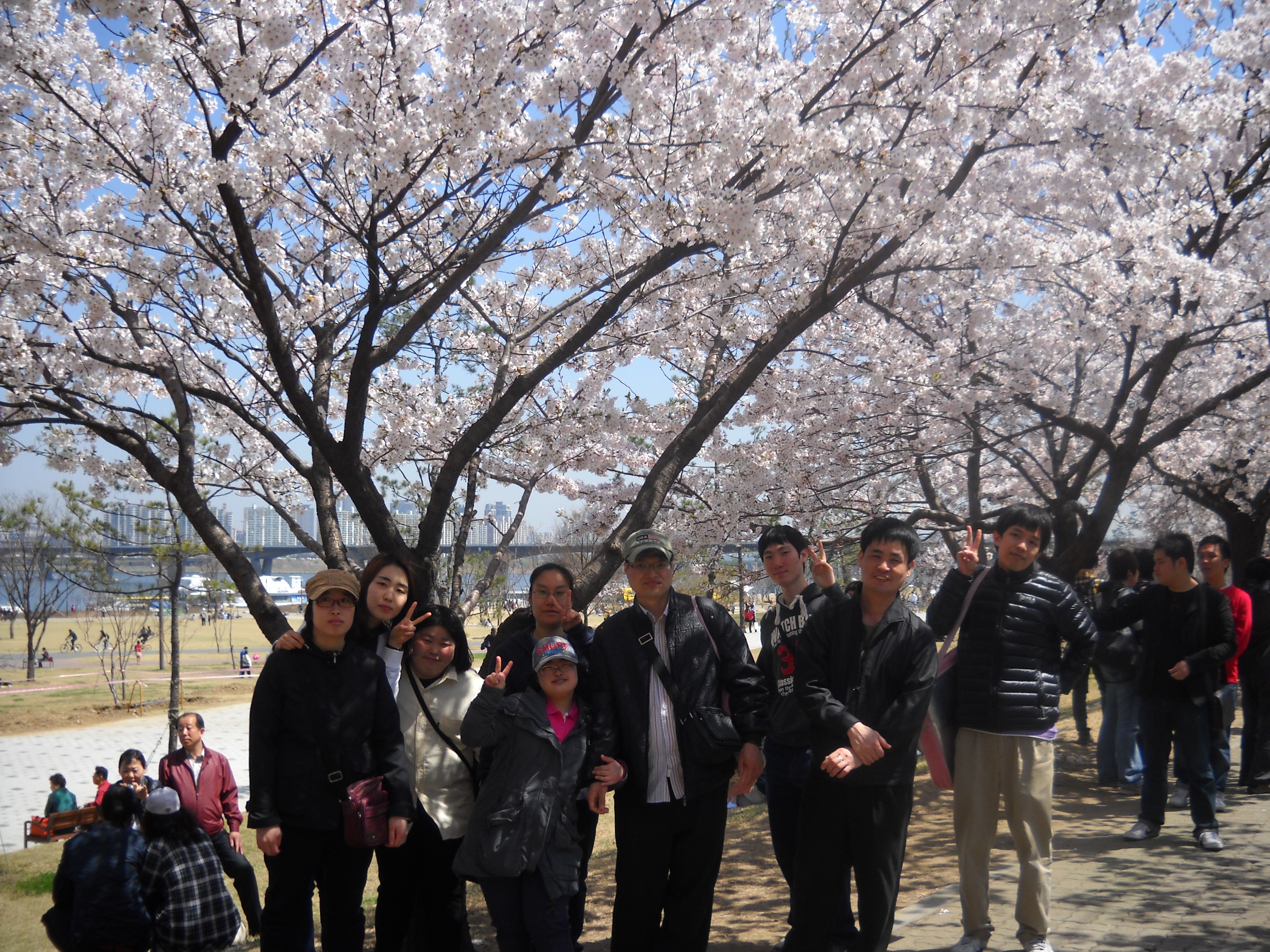 중증장애인 취업자모임