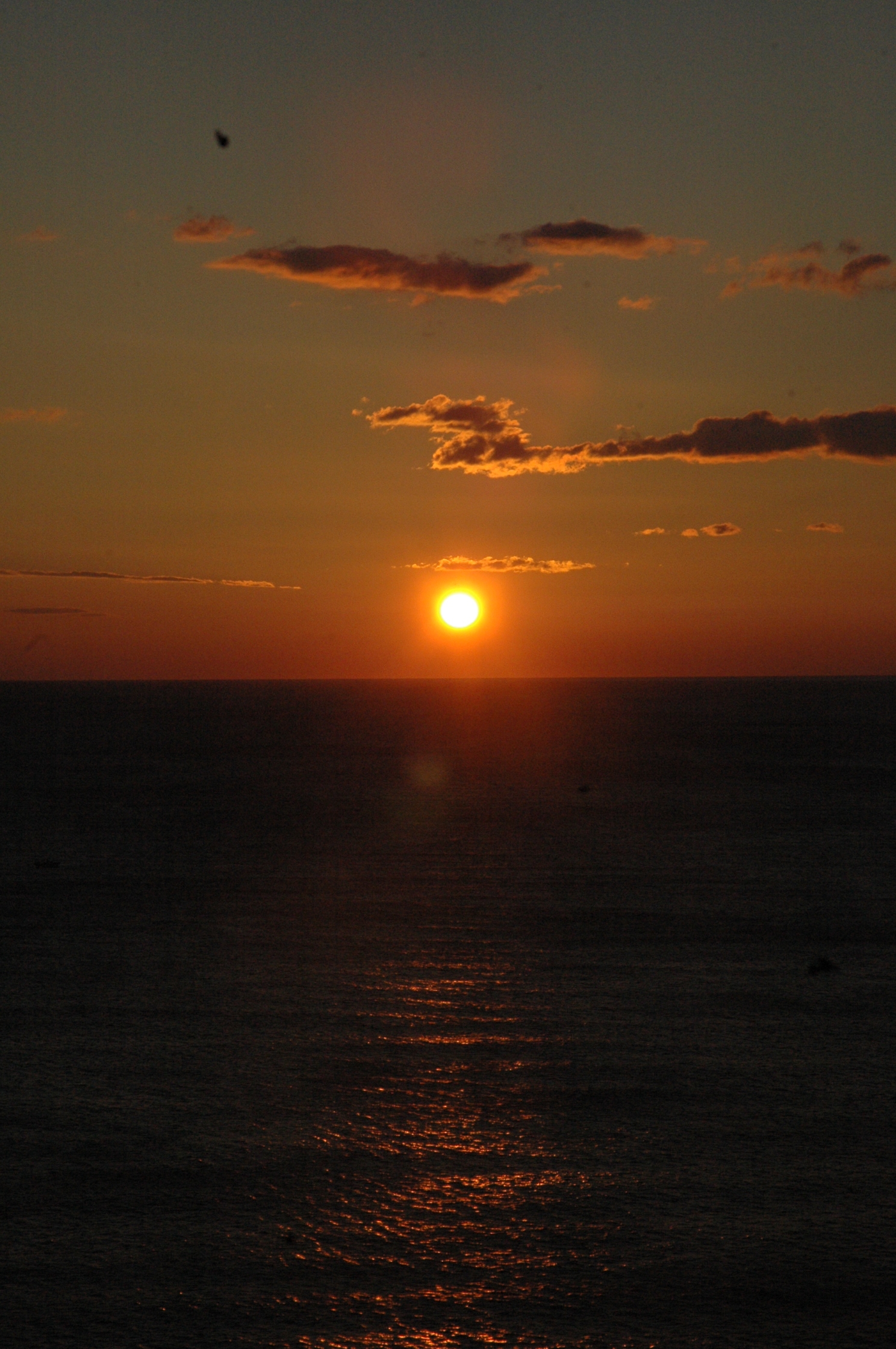 성인장애인 가족프로그램 "뿌리깊은나무" 가족여행