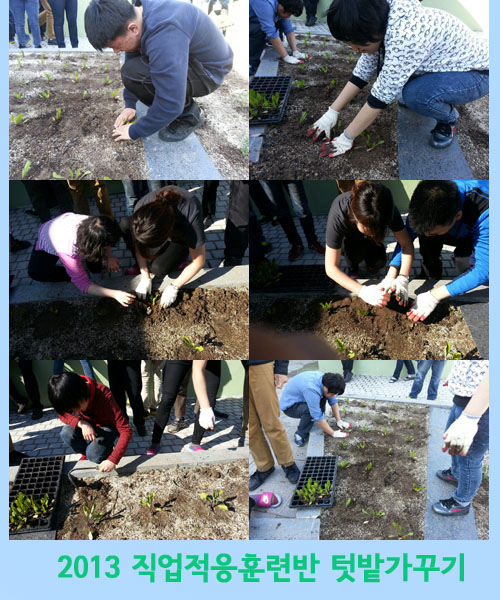2013 직업적응훈련반 텃밭가꾸기
