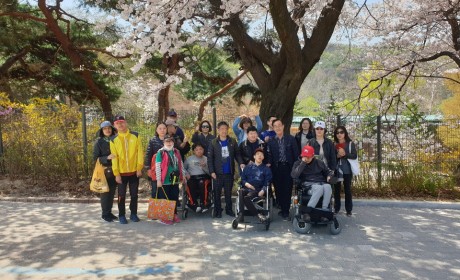 활짝 핀 꽃나무 아래에서 회원들이 함께 모여있다.