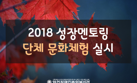 2018 성장멘토링 단체 문화체험 실시