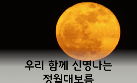 우리함께 신명나는 정월대보름 '2017년 살맛나는 양천마을 명절행사'