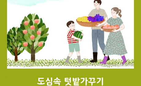 도심속 텃밭가꾸기 -도시농부- 지역주민과 함께했어요!