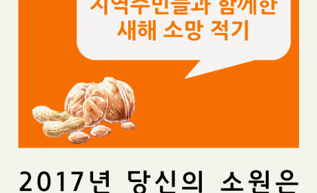 2017년 당신의 소원은 무엇인가요? '지역주민들과 함께한 새해소망적기'